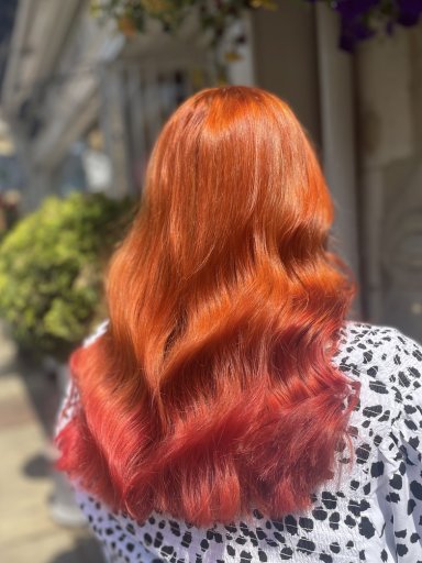 Customer Testimonials image