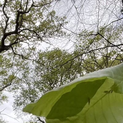 Greet the Spring in style! image