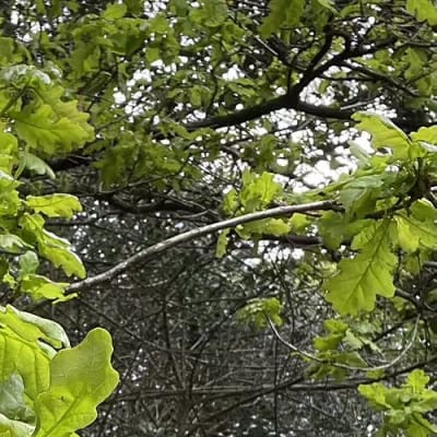 Greet the Spring in style! image