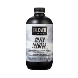 Silver Shampoo image