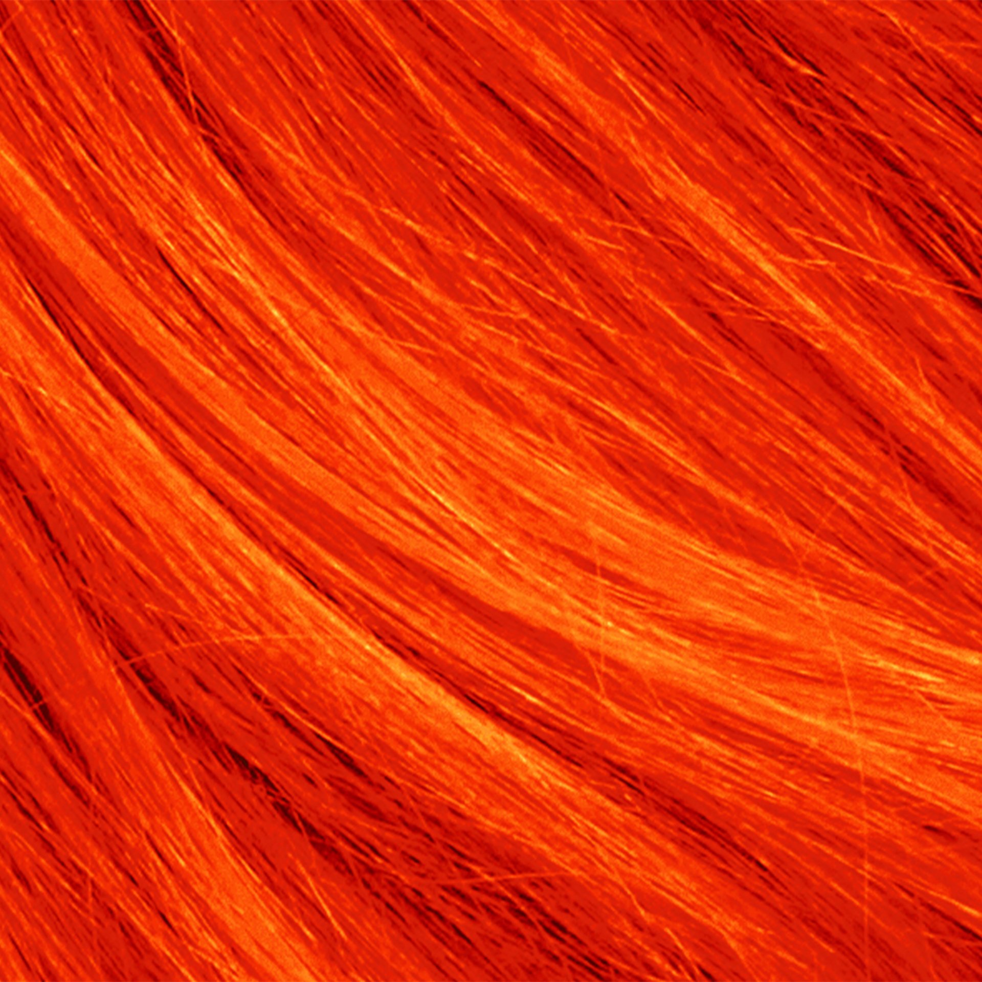 How to get vivid copper hair without bleaching | Bleach London, image size:1920x1920