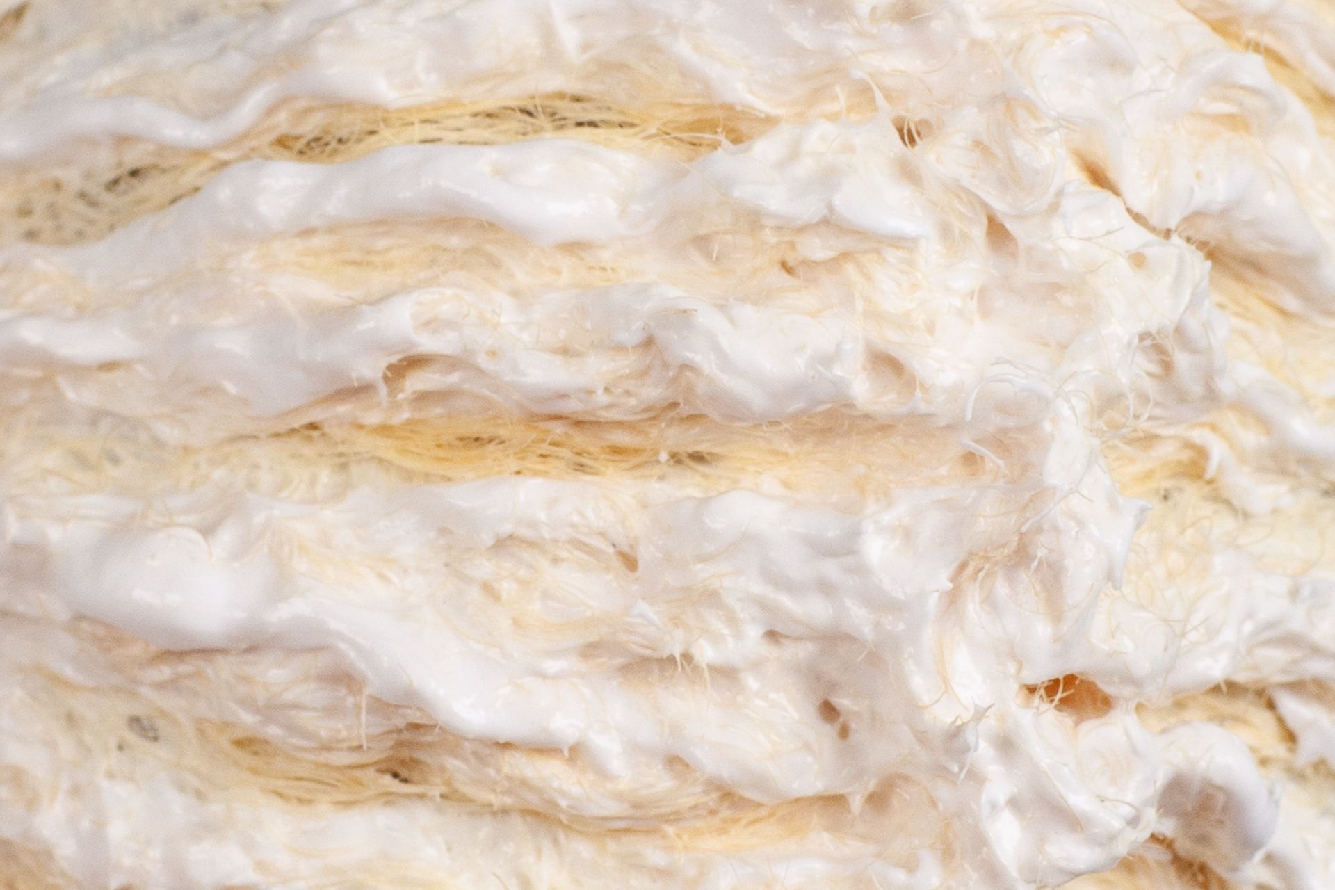 Which Bleach Is Right For You? image