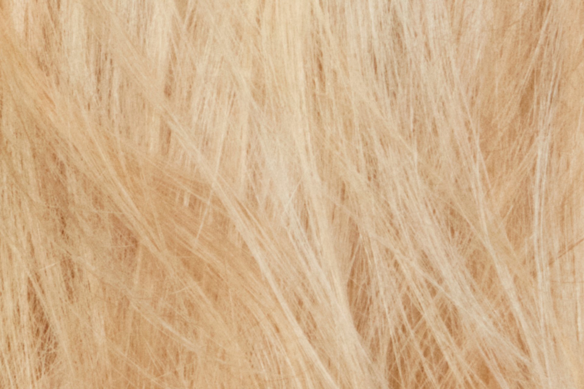 Champagne Blonde image