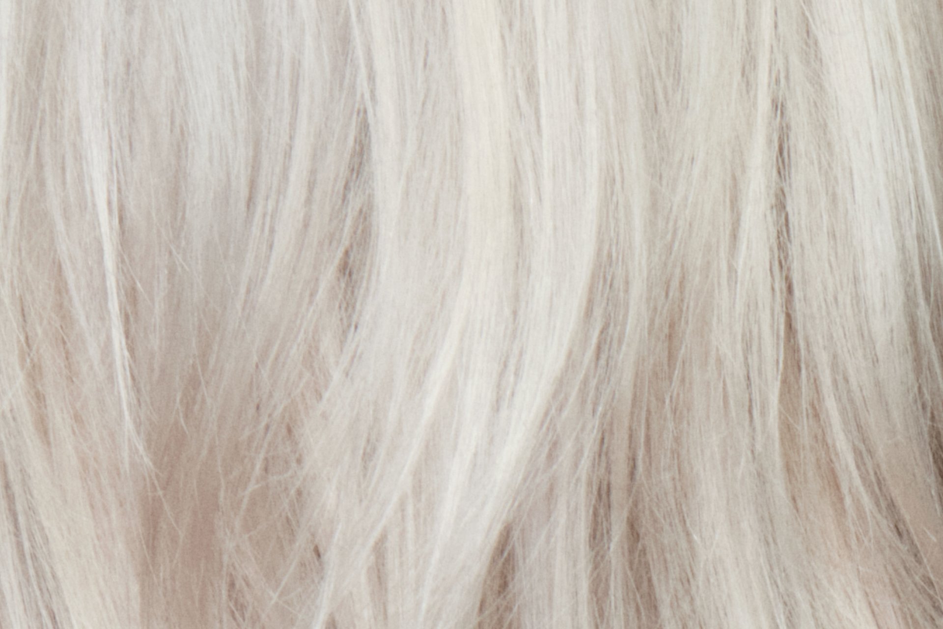 Silver Blonde image