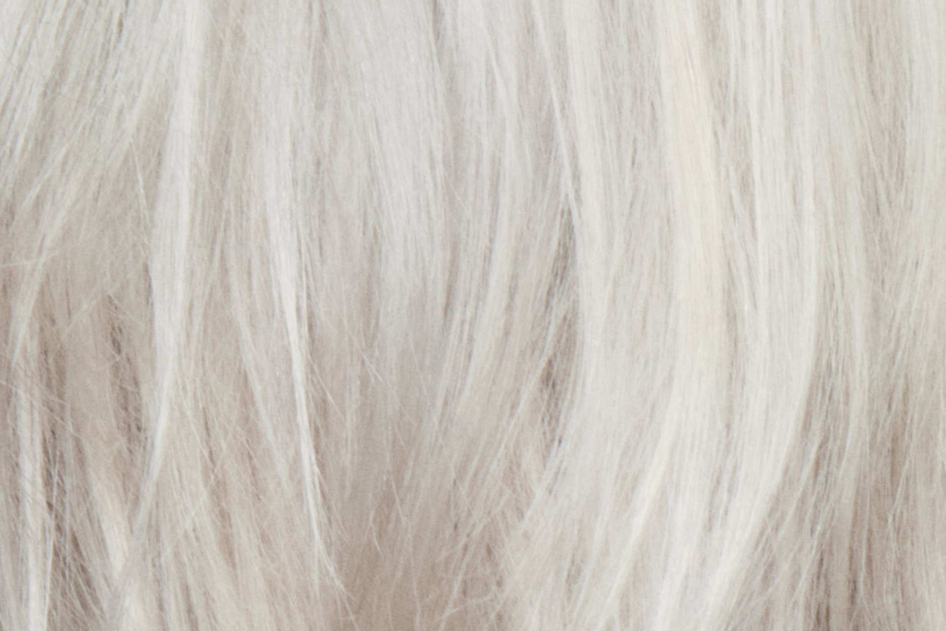 Best Of Blondes image