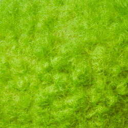 Slime Light Super Cool Colour image