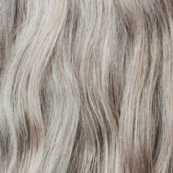 Fade To Grey Shampoo And Conditioner image