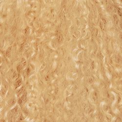 Warm Blonde Base Set with Low & Slow Bleach image