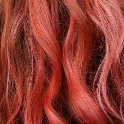 Burnt Peach Complete Colour Set image