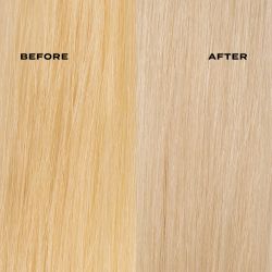 Blonde Care Routine XL image
