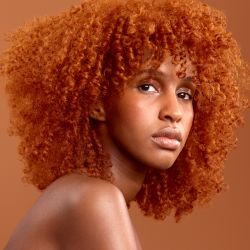Copper Base Set with Low & Slow Bleach image