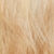 Champagne Super Toner Kitimage