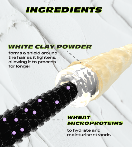 Key Ingredients image