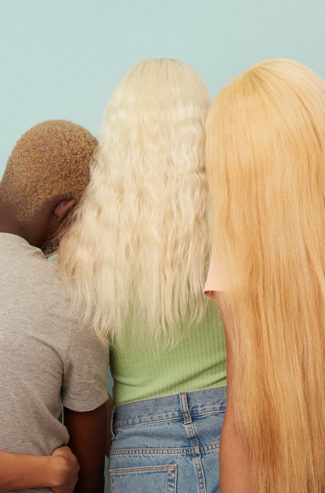 Meet The Bleaches image