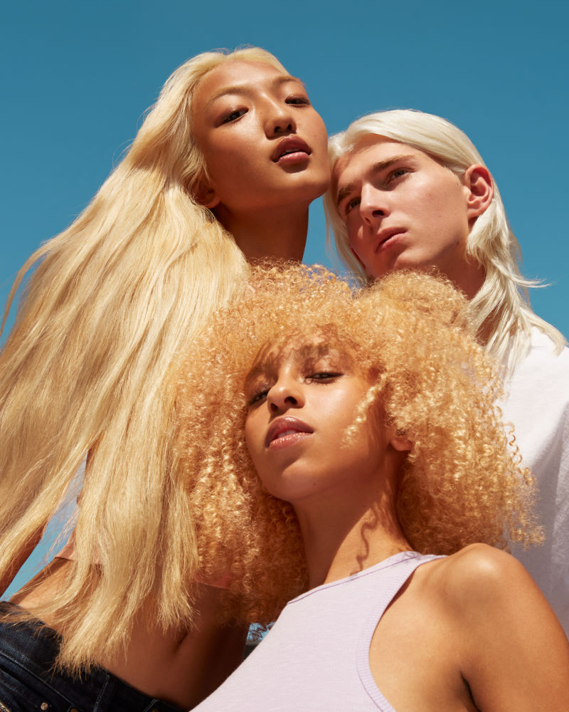 Warm Blonde Base Set product image