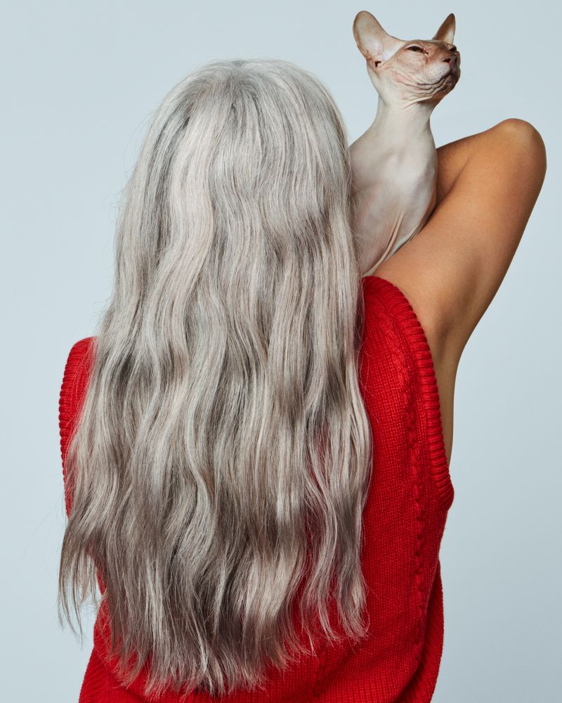Fade To Grey Shampoo product image