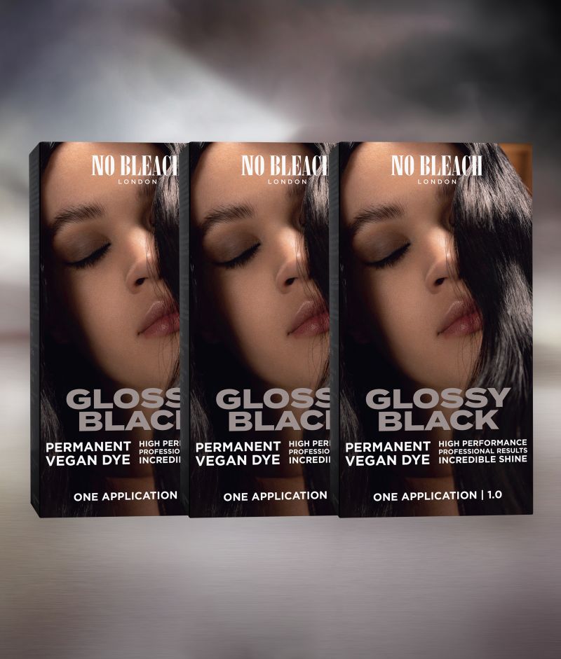Glossy Black Permanent Dye (3 Pack) product image