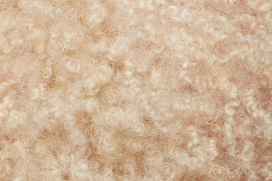 Beer Conditioner background image